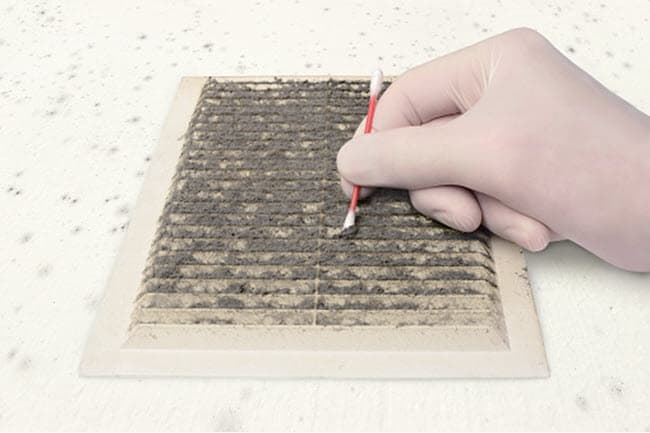 mold-testing-inspection