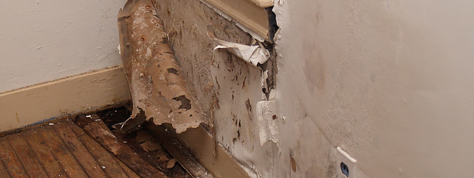 Water Damage Mitigation