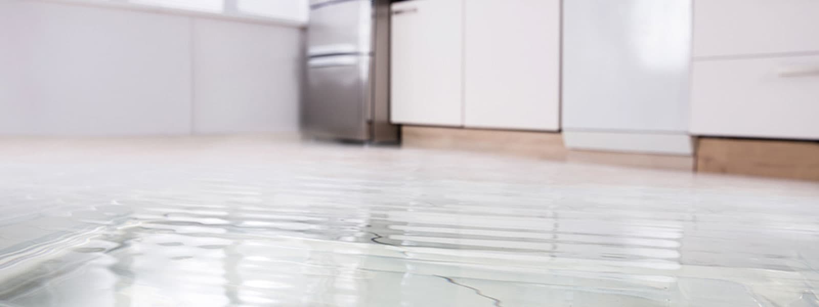 Water Damage Restoration